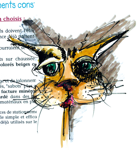 croquis chat blase
