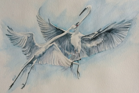 aquarelle combat de grues-monica pallud