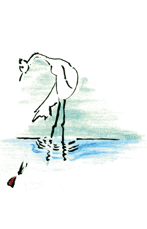 croquis au trait oiseau5