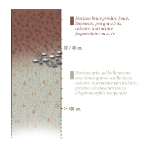 schema structure agropedologique